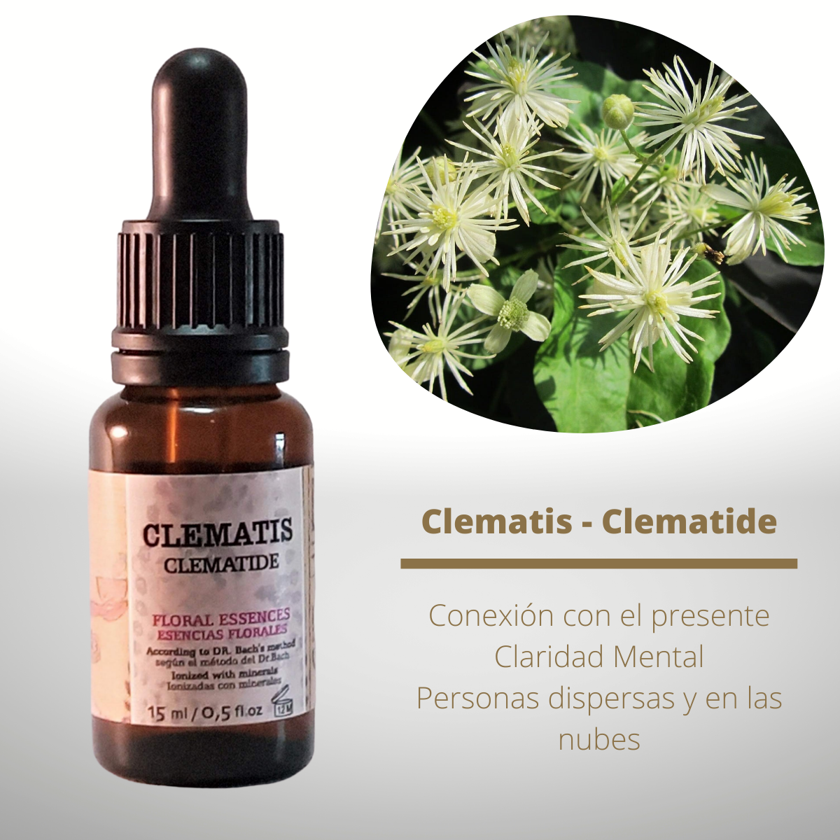Flor nº 09 Clematis - Clemátide | Falta de concentración