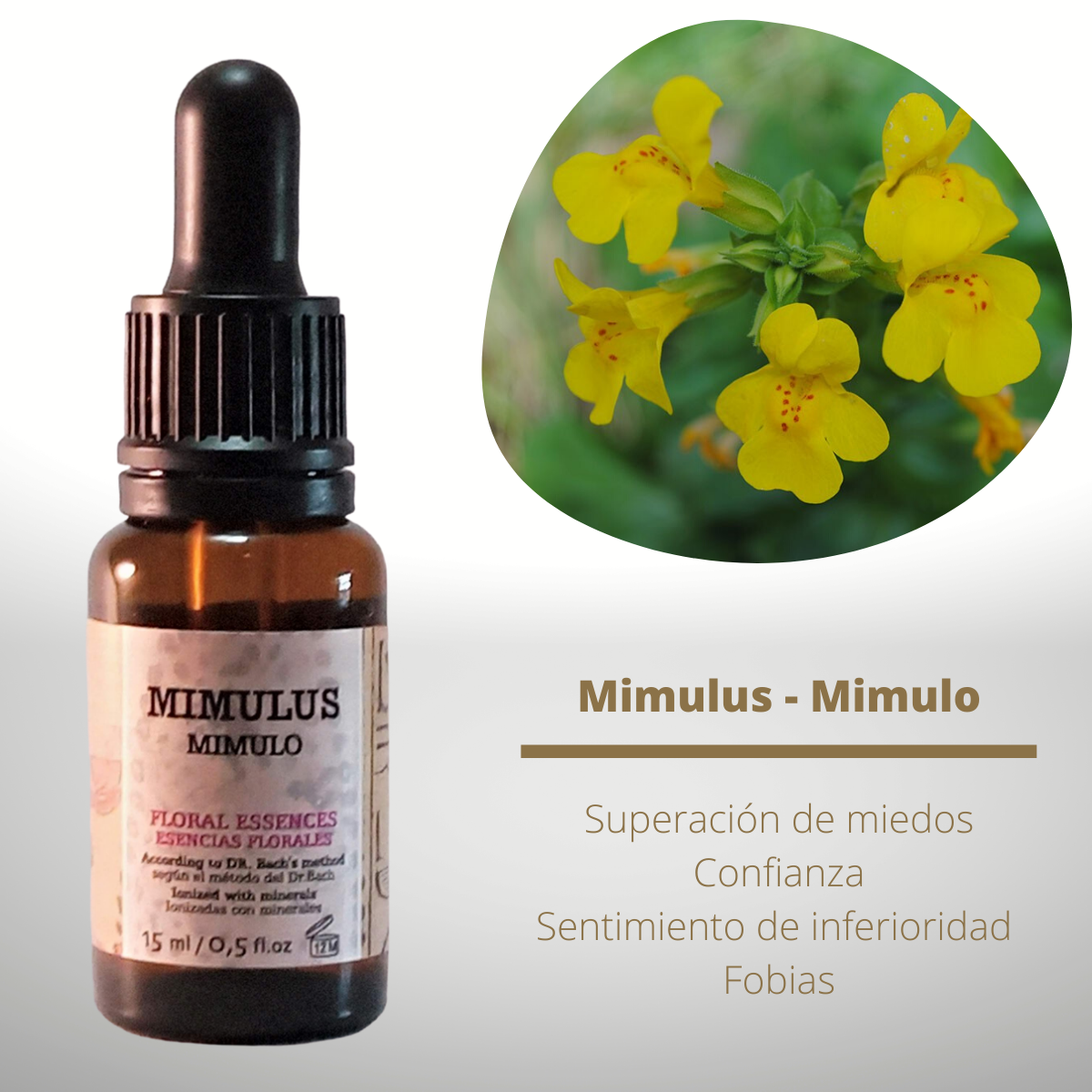 Flor nº 20 Mimulus - Mímulo | Miedo a lo conocido
