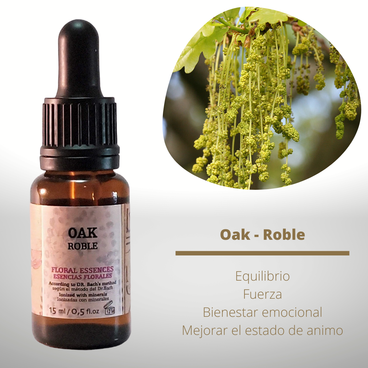 Flor nº 22 Oak - Roble | Agotamiento por trabajo