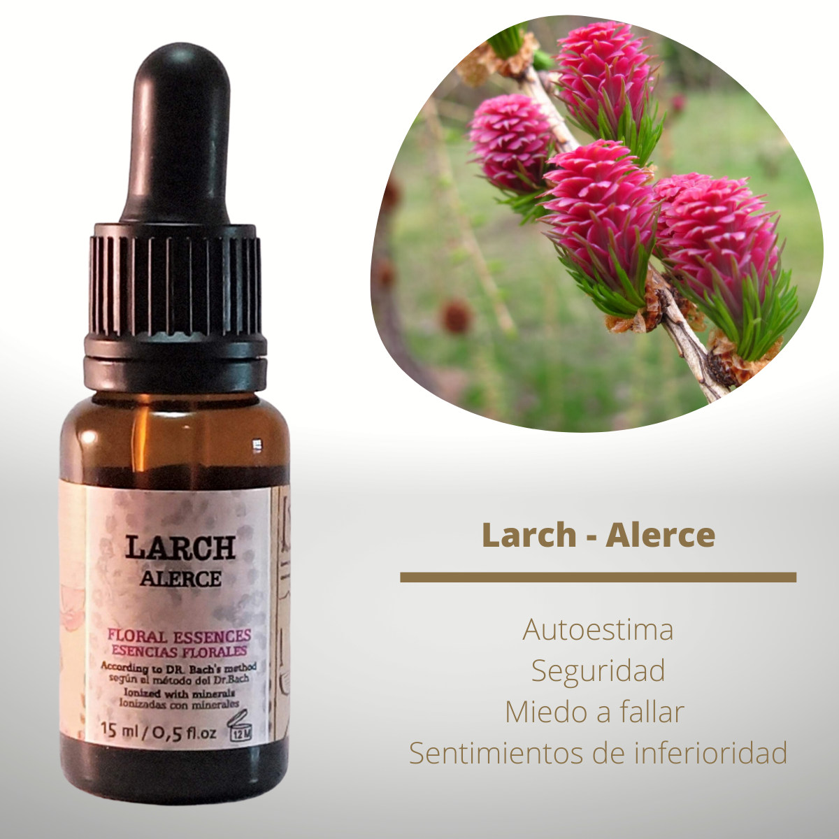 Flor nº 19 Larch - Alerce | Baja autoestima