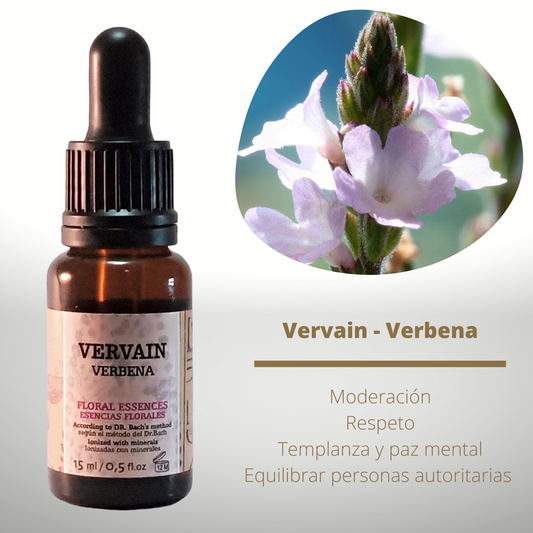Flor nº 31 Vervain - Verbena | Exceso de entusiasmo