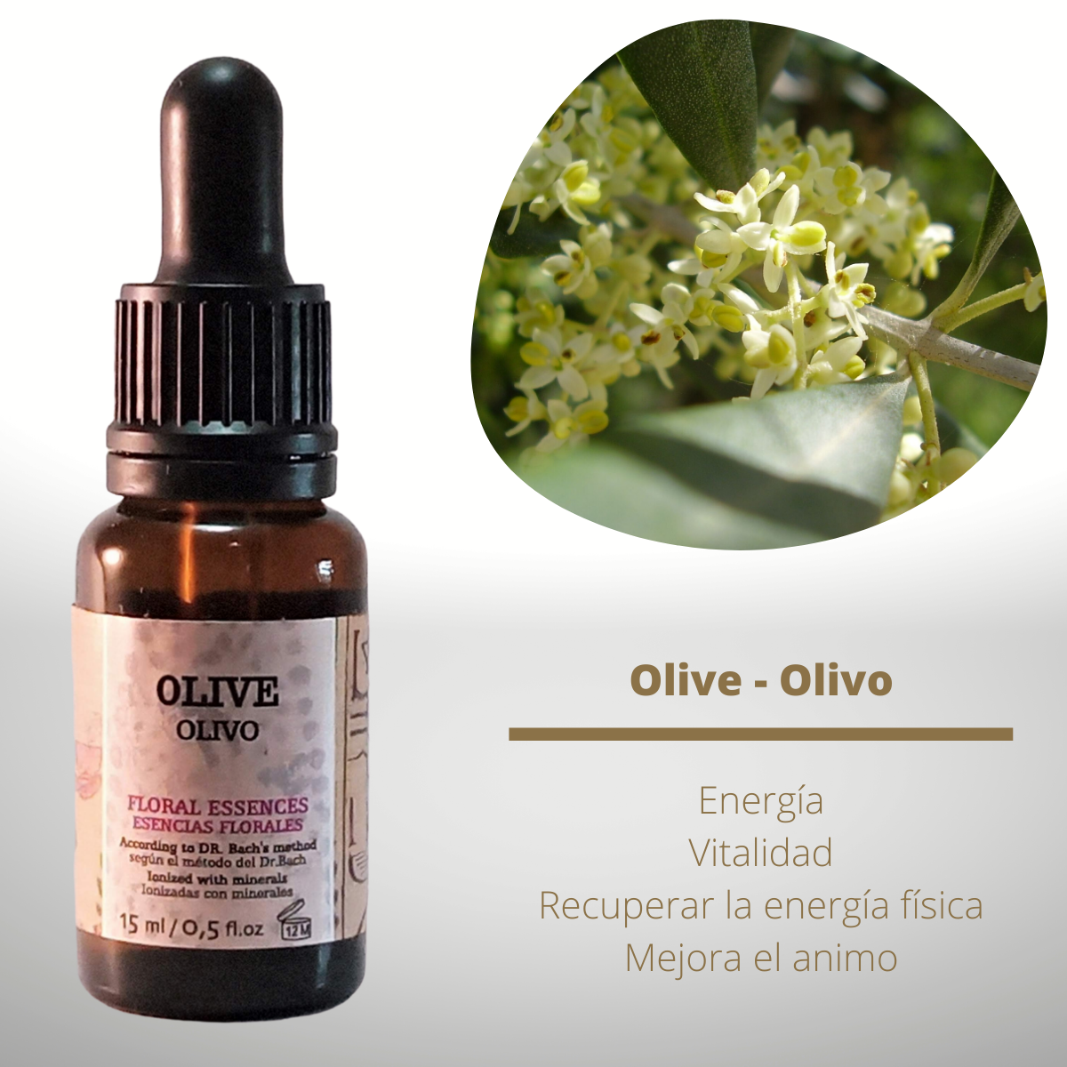 Flor nº 23 Olive - Olivo | Agotamiento físico y mental