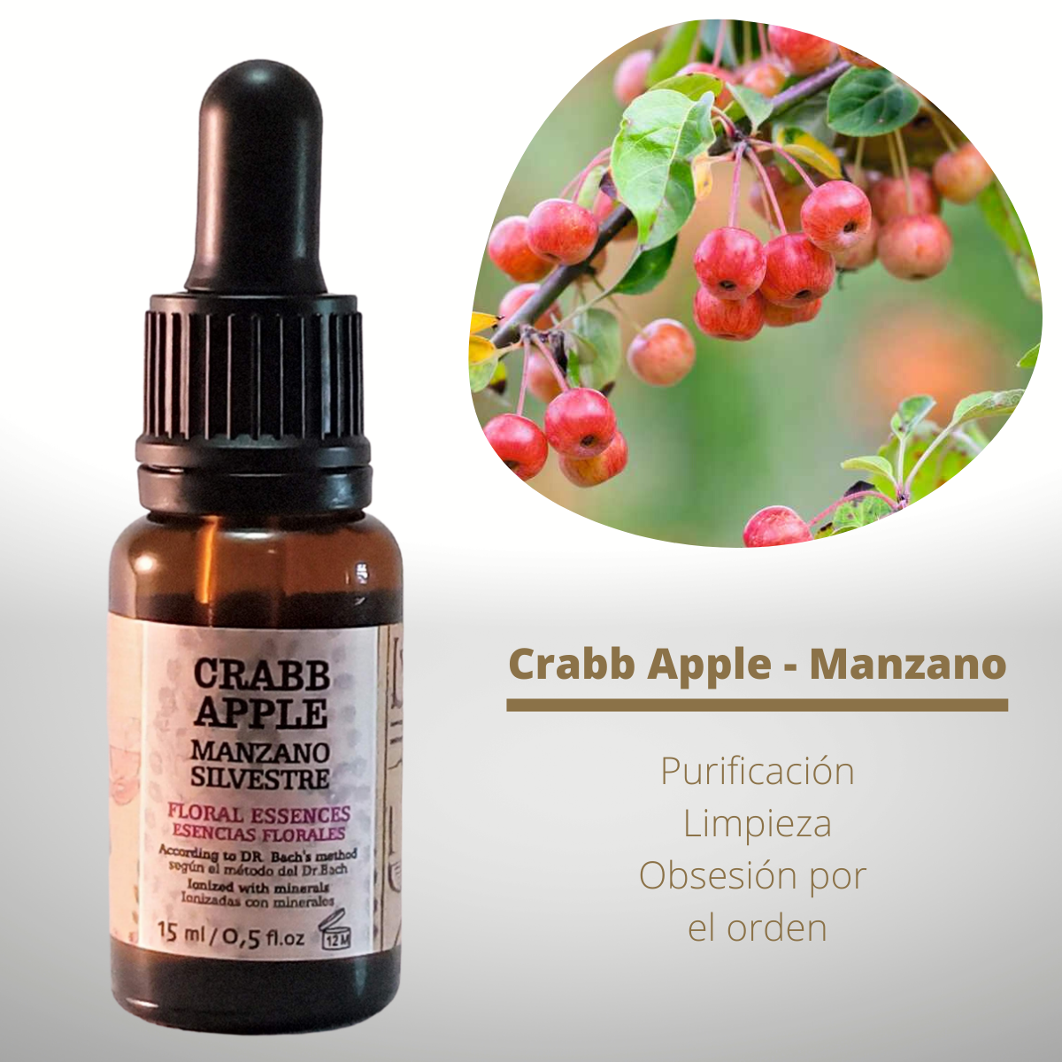 Flor nº 10 Crabb Apple - Manzano | Obsesión por orden y limpieza