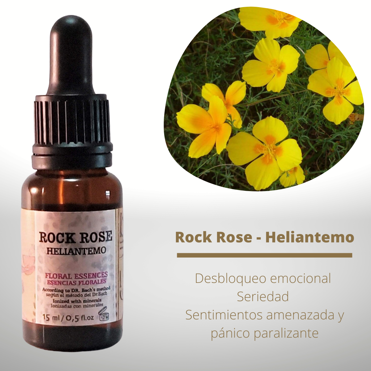 Flor nº 26 Rock Rose - Heliantemo | Miedo paralizante