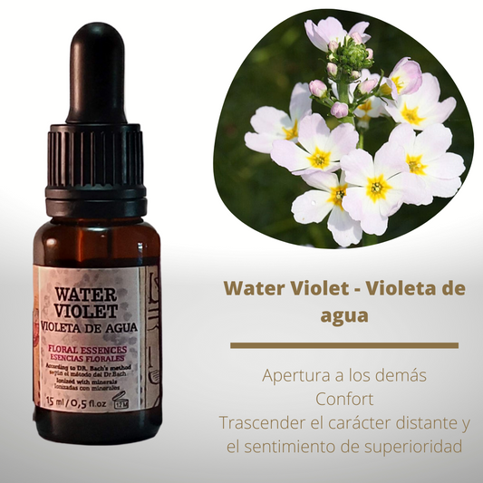Flor nº 34 Water Violet - Violeta de agua | Personas reservadas y solitarias