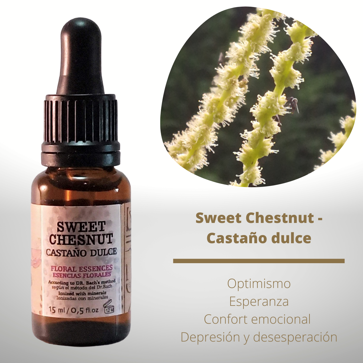 Flor nº 30 Sweet Chestnut - Castaño dulce | Desesperación