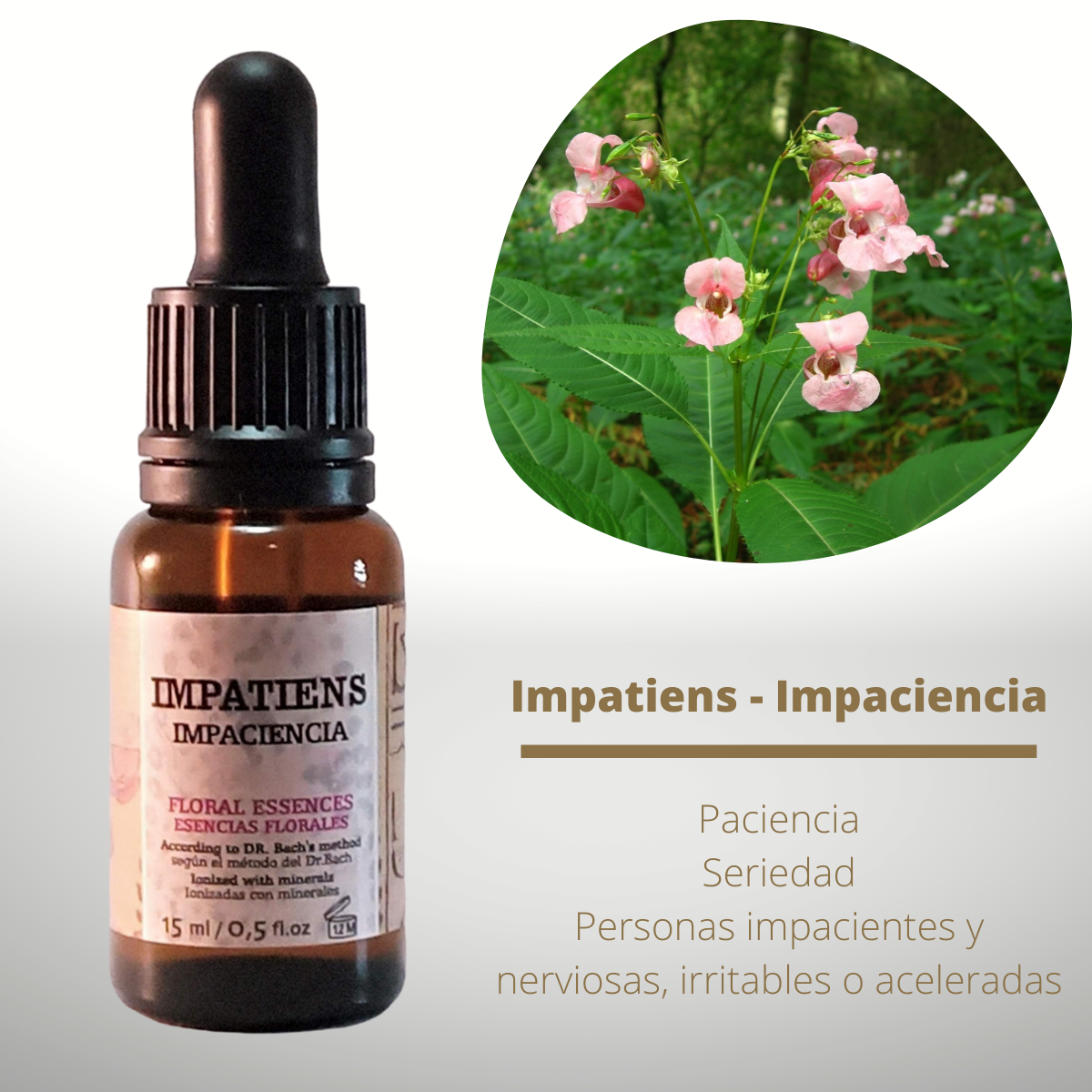 Flor nº 18 Impatiens - Impaciencia | Impaciencia, irritabilidad