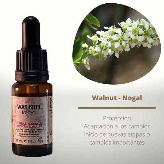 Flor nº 33 Walnut - Nogal | Ayuda en los cambios