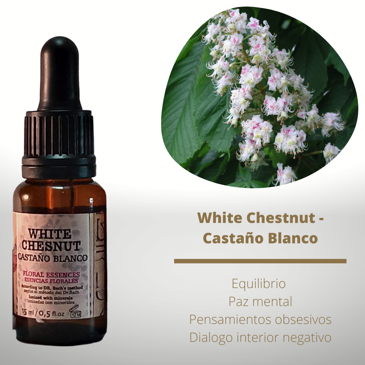 Flor nº 35 White Chestnut - Castaño Blanco | Pensamientos obsesivos