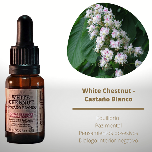 Flor nº 35 White Chestnut - Castaño Blanco | Pensamientos obsesivos