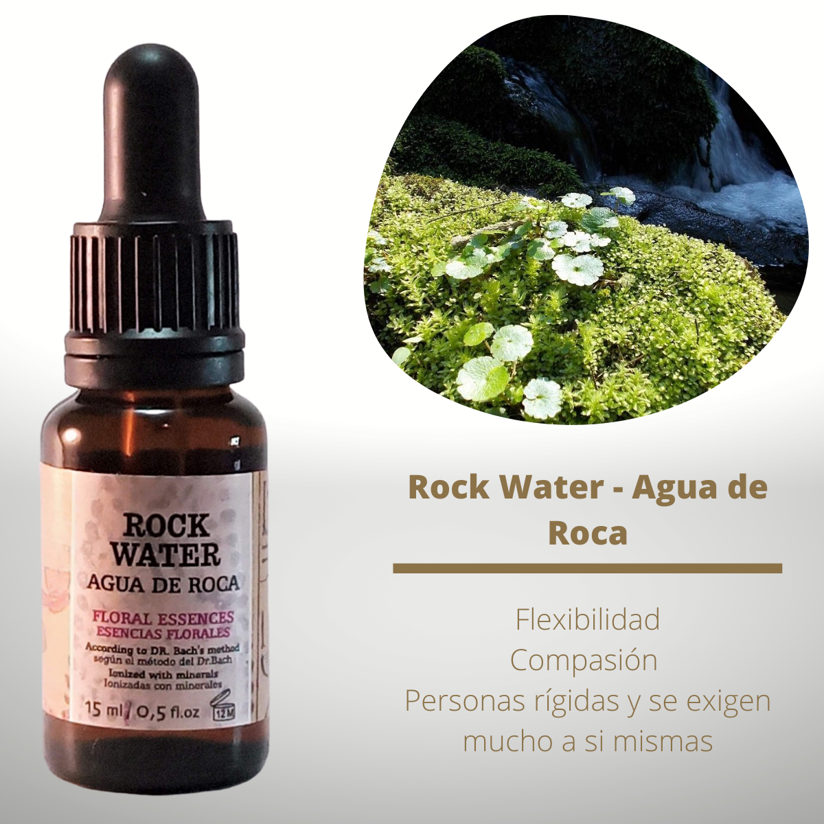Flor nº 27 Rock Water - Agua de Roca | Fanatismo, inflexibilidad