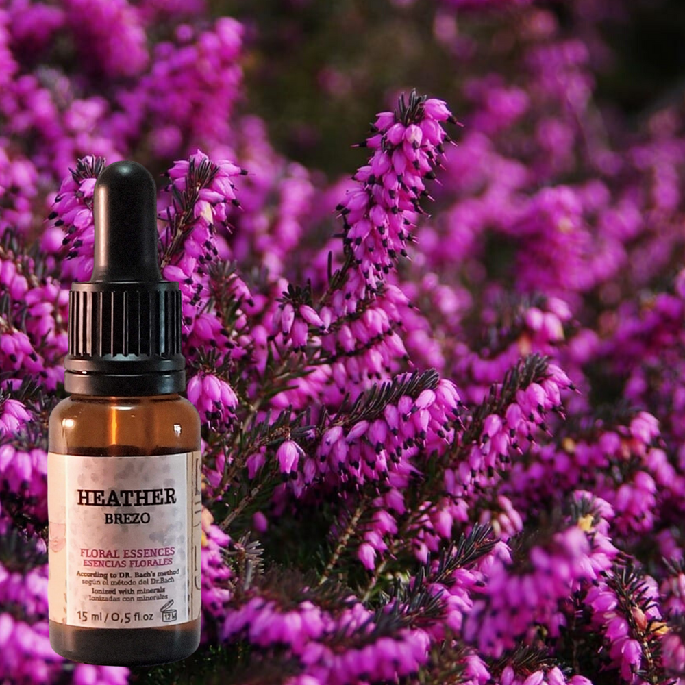 Flor nº 14 Heather - Brezo | Miedo a la soledad