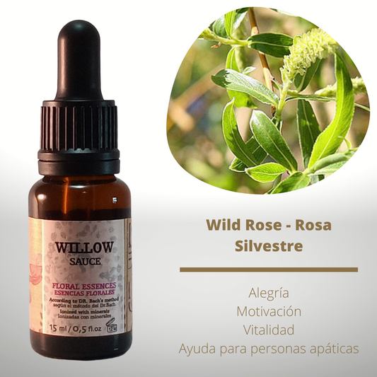Flor nº 38 Willow - Sauce | Resentimiento, autocompasión
