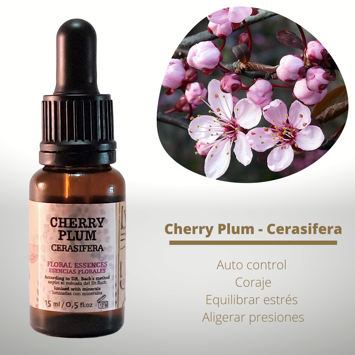 Flor nº 06 Cherry Plum - Cerasífera | Miedo a perder el control