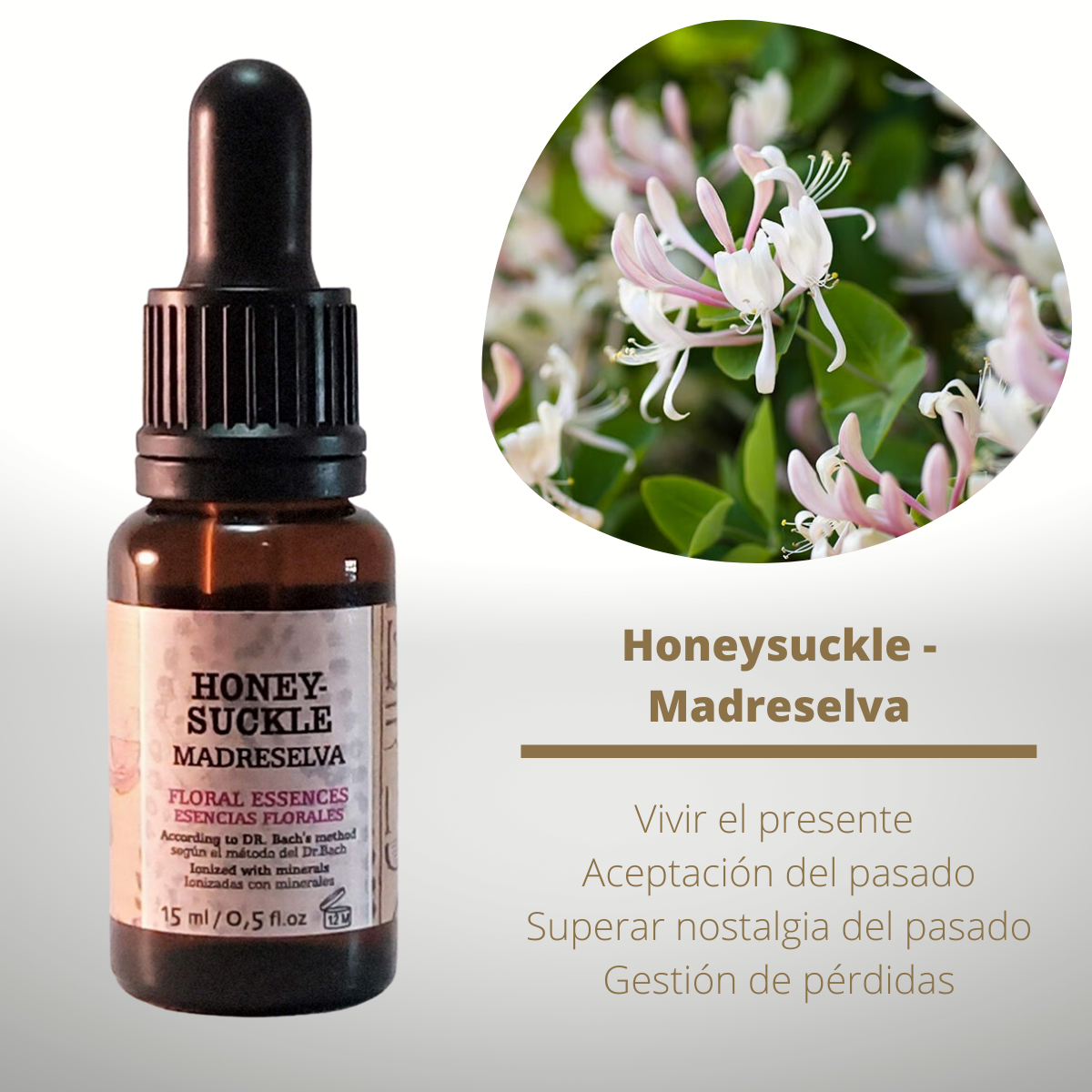 Flor nº 16 Honeysuckle - Madreselva | Nostalgia del pasado