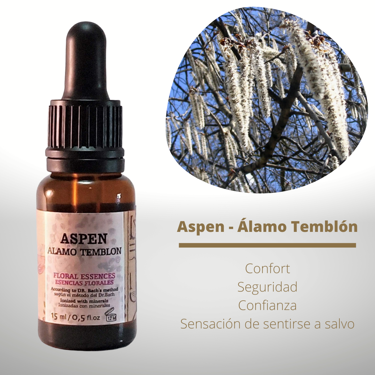 Flor nº 02 Aspen - Álamo Temblón | Miedos irreales